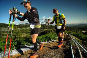 BIB: 9087
                            <button type="button" onclick="openModal(19122667)" class="btn btn-primary btn-sm float-right btn-popup" data-toggle="modal" data-target=".modal-high-quality">
                        <i class="fas fa-shopping-cart"></i> Add to Cart
                    </button>
                                            <button type="button" onclick="isThisMe(19122667, true)" class="btn btn-success btn-sm float-right btn-popup btn-isme hidden" data-toggle="tooltip" data-placement="bottom" title="นี่คือรูปของคุณใช่ไหม คลิกที่นี่เพื่อเอาเข้าอัลบั้ม">
                        <i class="fas fa-plus"></i> Add to album
                    </button>
                    <button type="button" onclick="isThisMe(19122667, false)" class="btn btn-warning btn-sm float-right btn-popup btn-isnotme hidden">
                        <i class="fas fa-ban"></i> Remove from album
                    </button>